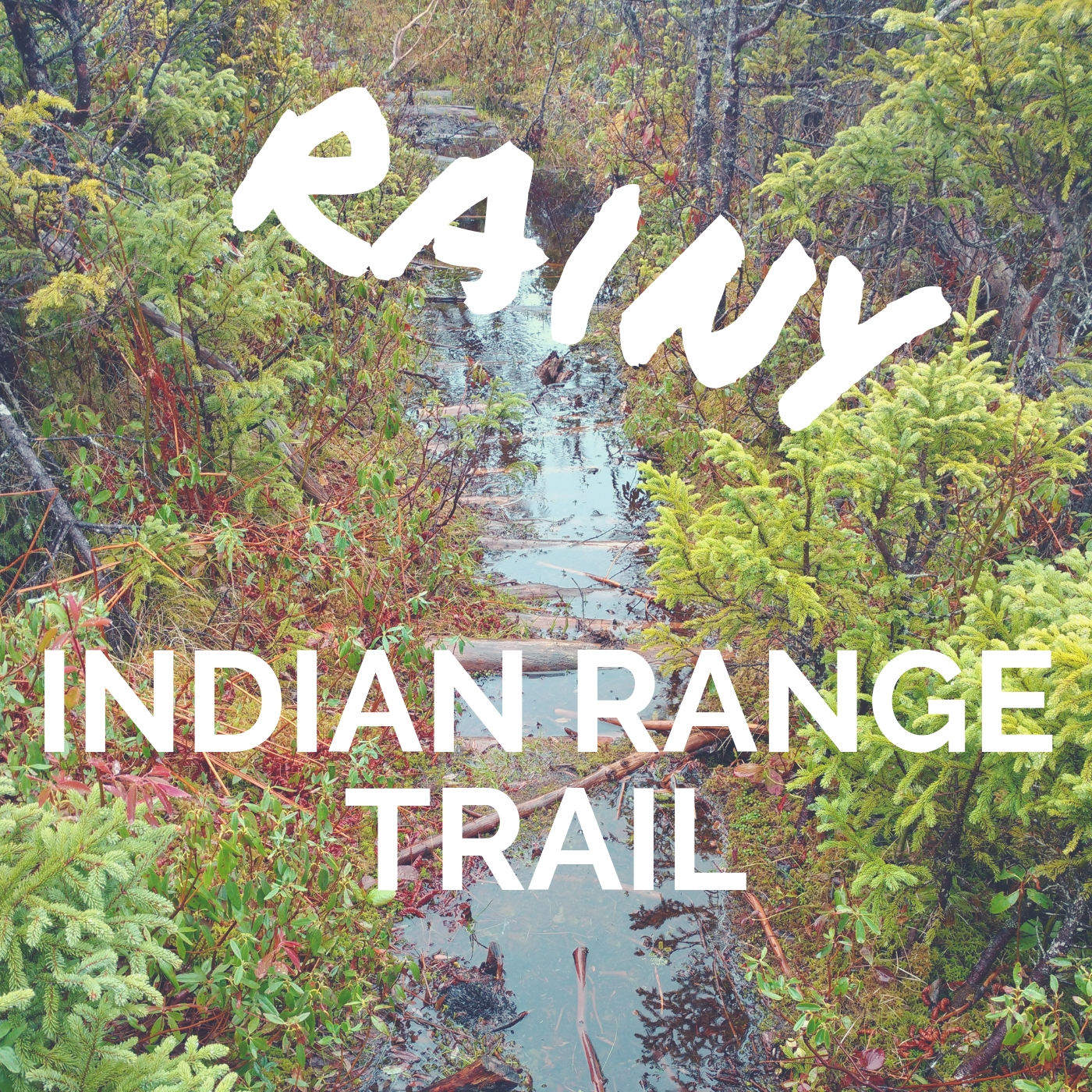 Rainy Indian Range Trail, IATNL, Newfoundland hiking, Wildly Intrepid