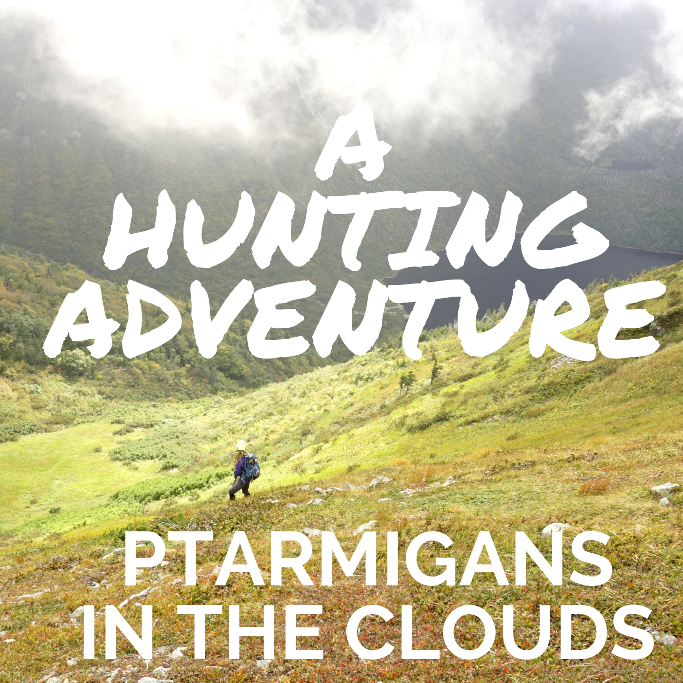 A hunting Adventure; ptarmigans in the clouds, starlite trail, hunting newfoundland, small game hunting, ptarmigan hunting, Wildly Intrepid