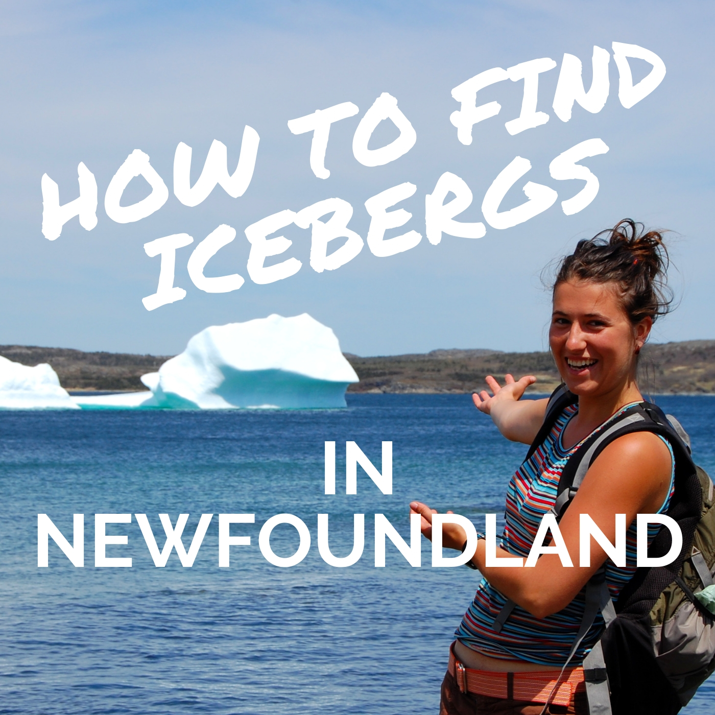 How to Find icebergs in Newfoundland, icebergs Newfoundland, icebergs, St. Anthony, Wildly Intrepid