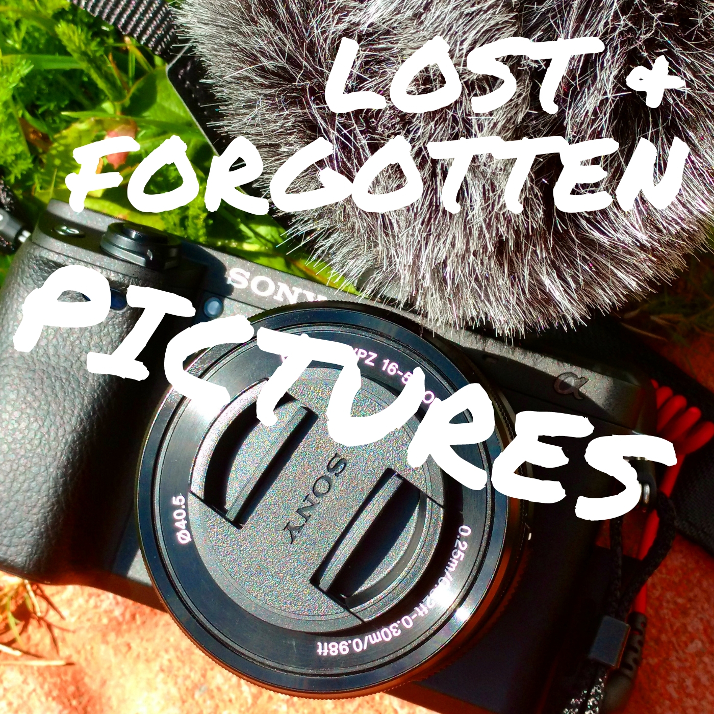 Lost and forgotten Pictures, Wildly Intrepid